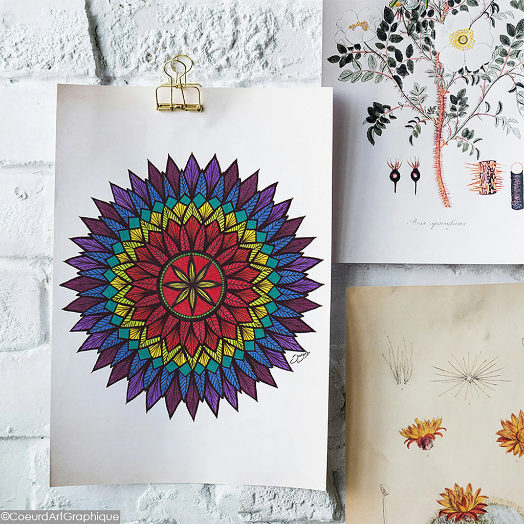 Affiche 9x12 • Plumes Vibrantes
