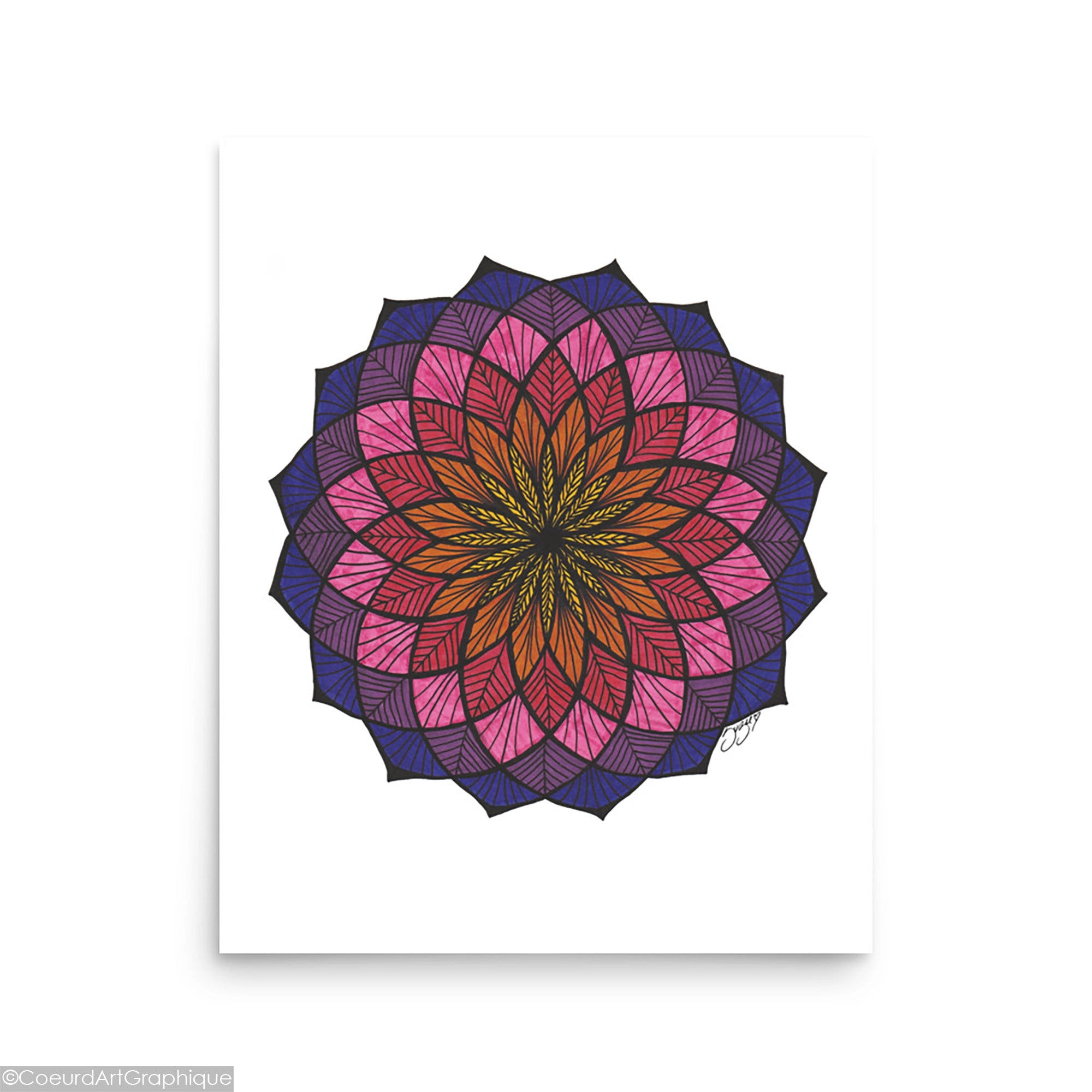 Poster • Radiant Echinacea