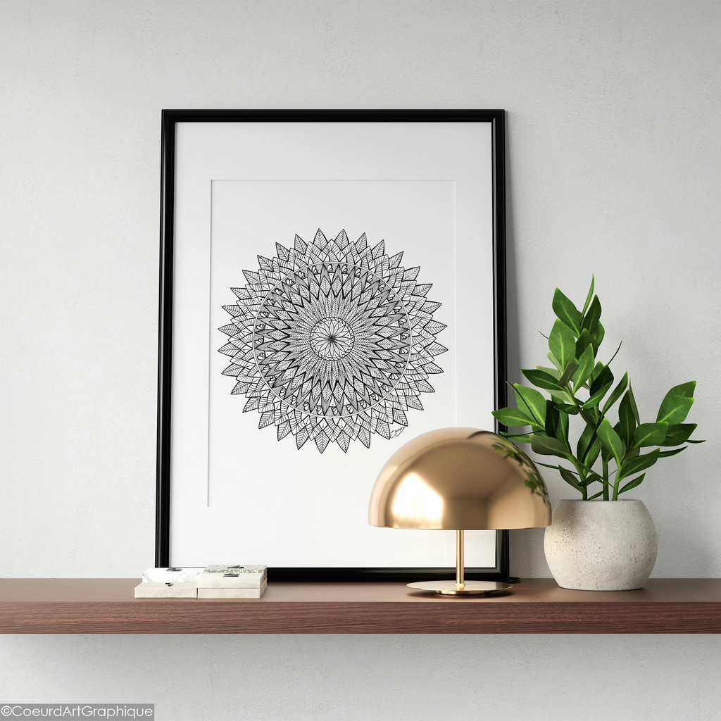Affiche • Plumes Noires