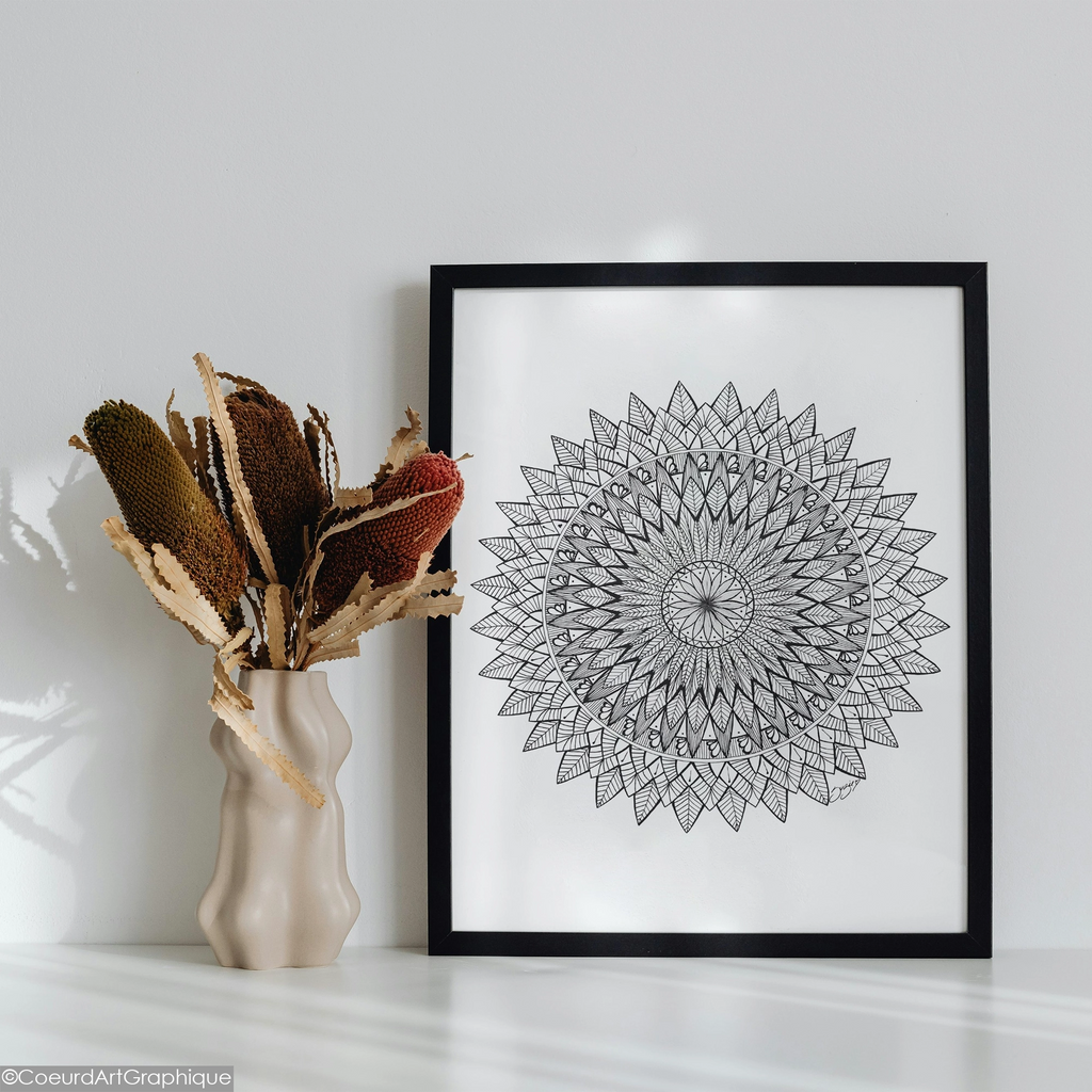 Affiche • Plumes Noires
