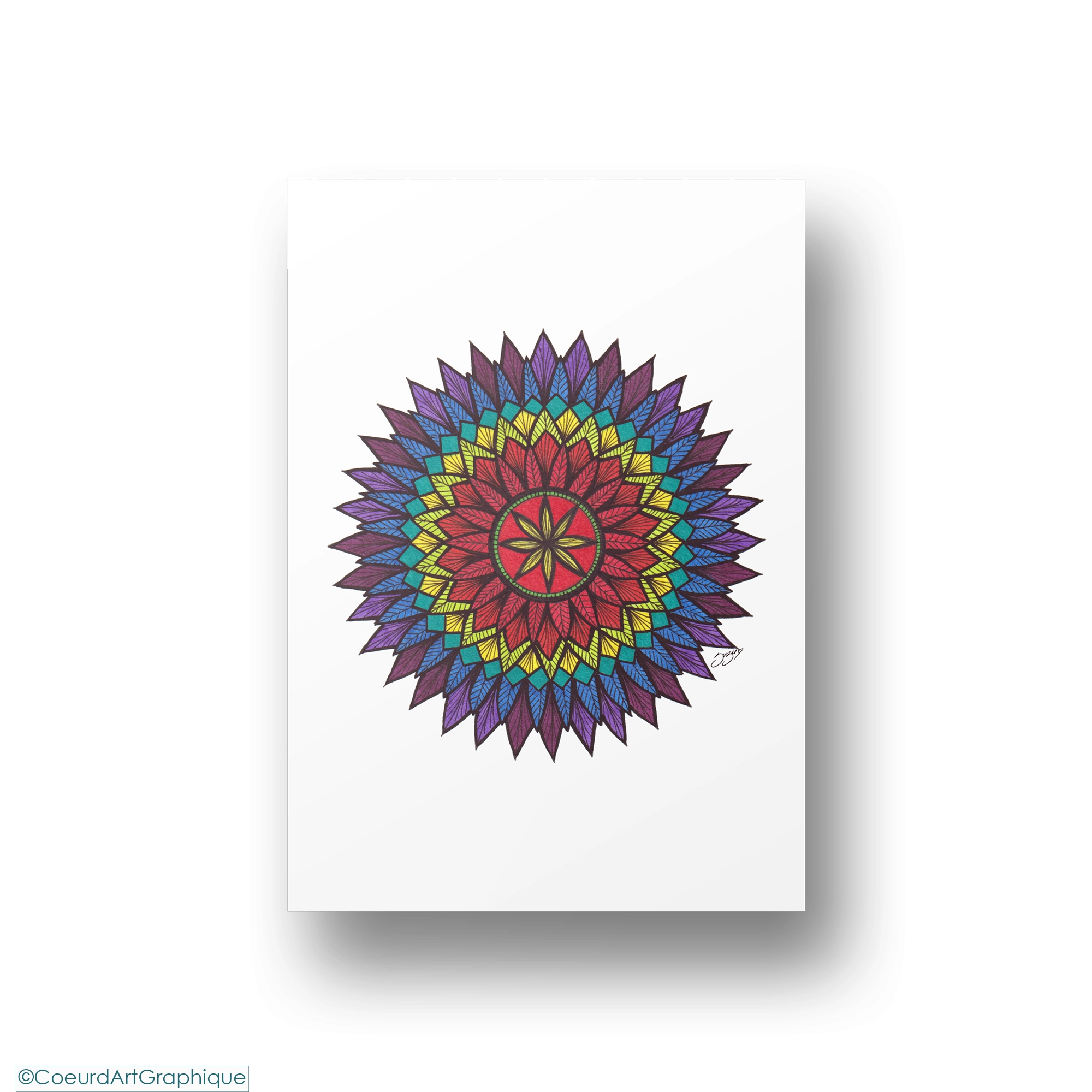 Affiche 9x12 • Plumes Vibrantes