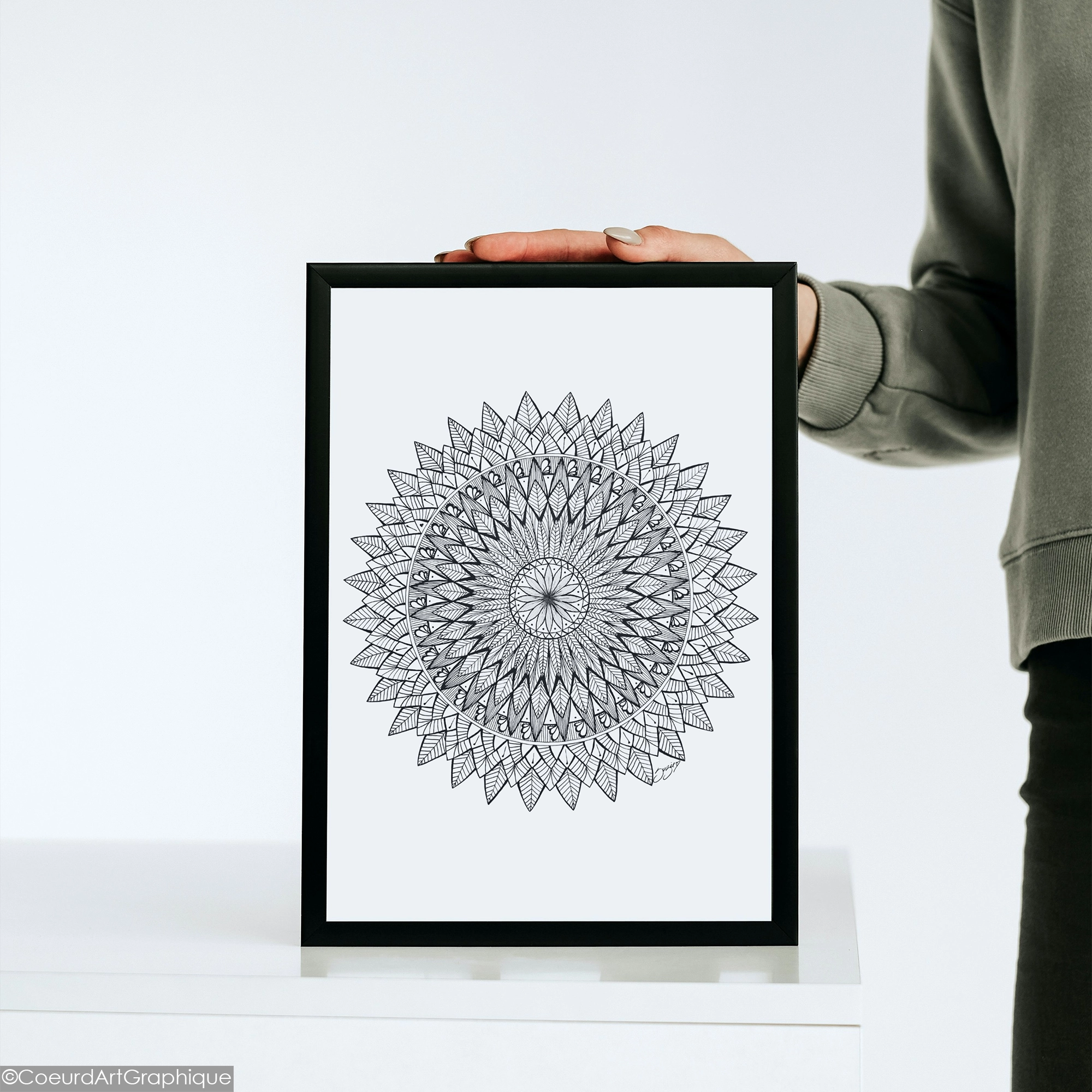 Affiche • Plumes Noires