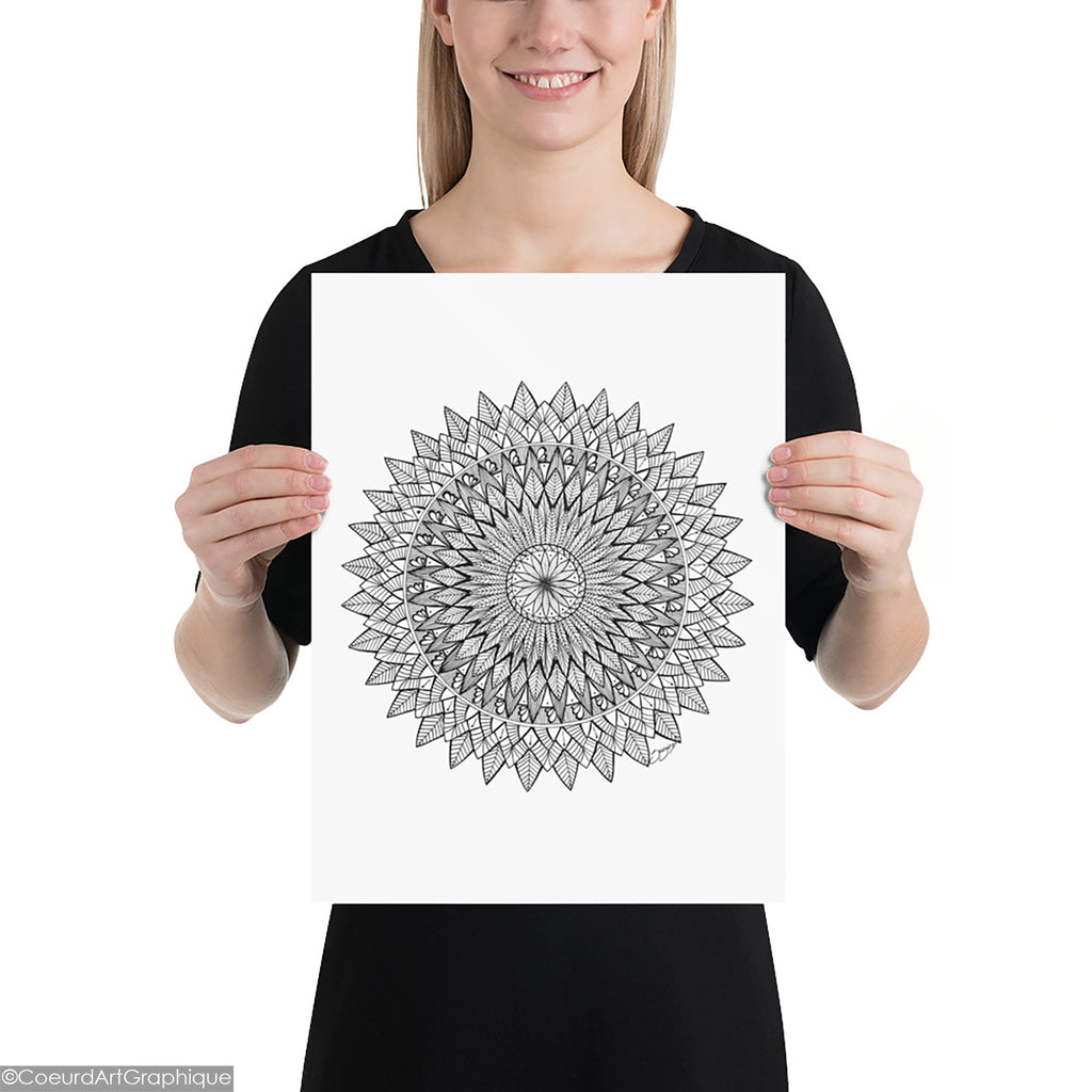 Affiche • Plumes Noires