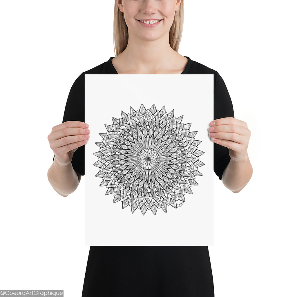 Affiche • Plumes Noires