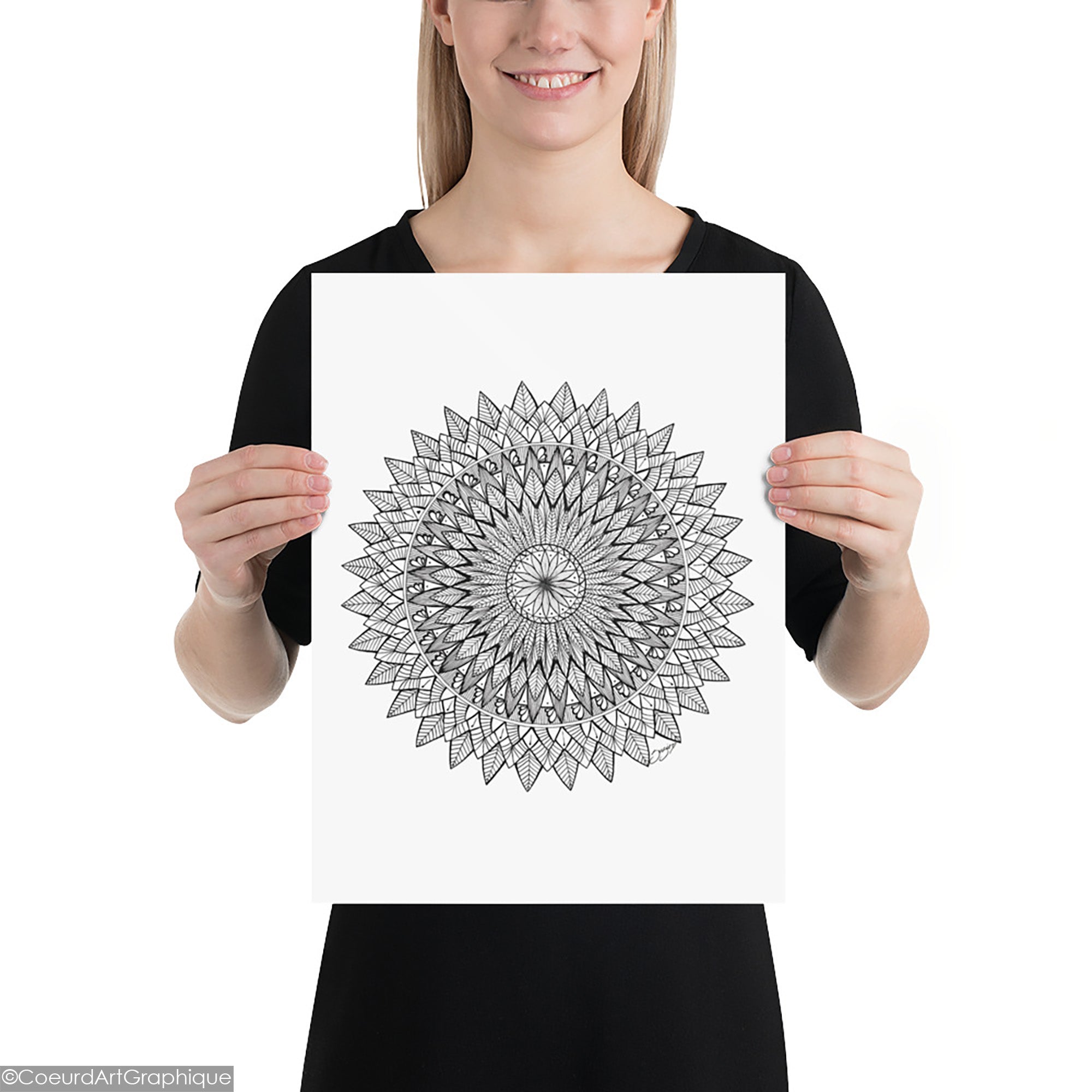 Affiche • Plumes Noires