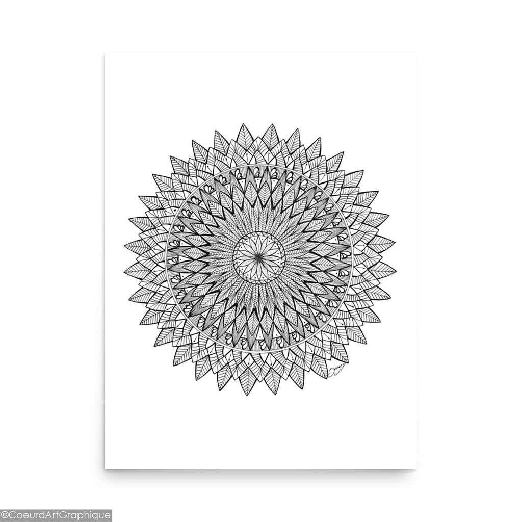 Affiche • Plumes Noires