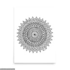 Affiche • Plumes Noires