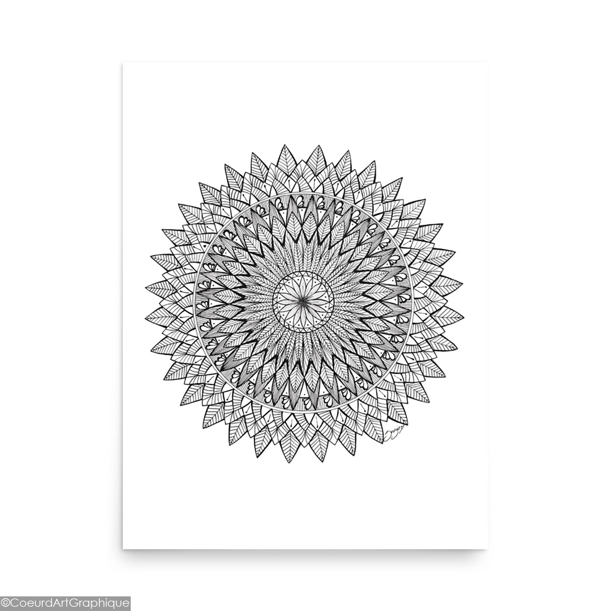 Affiche • Plumes Noires