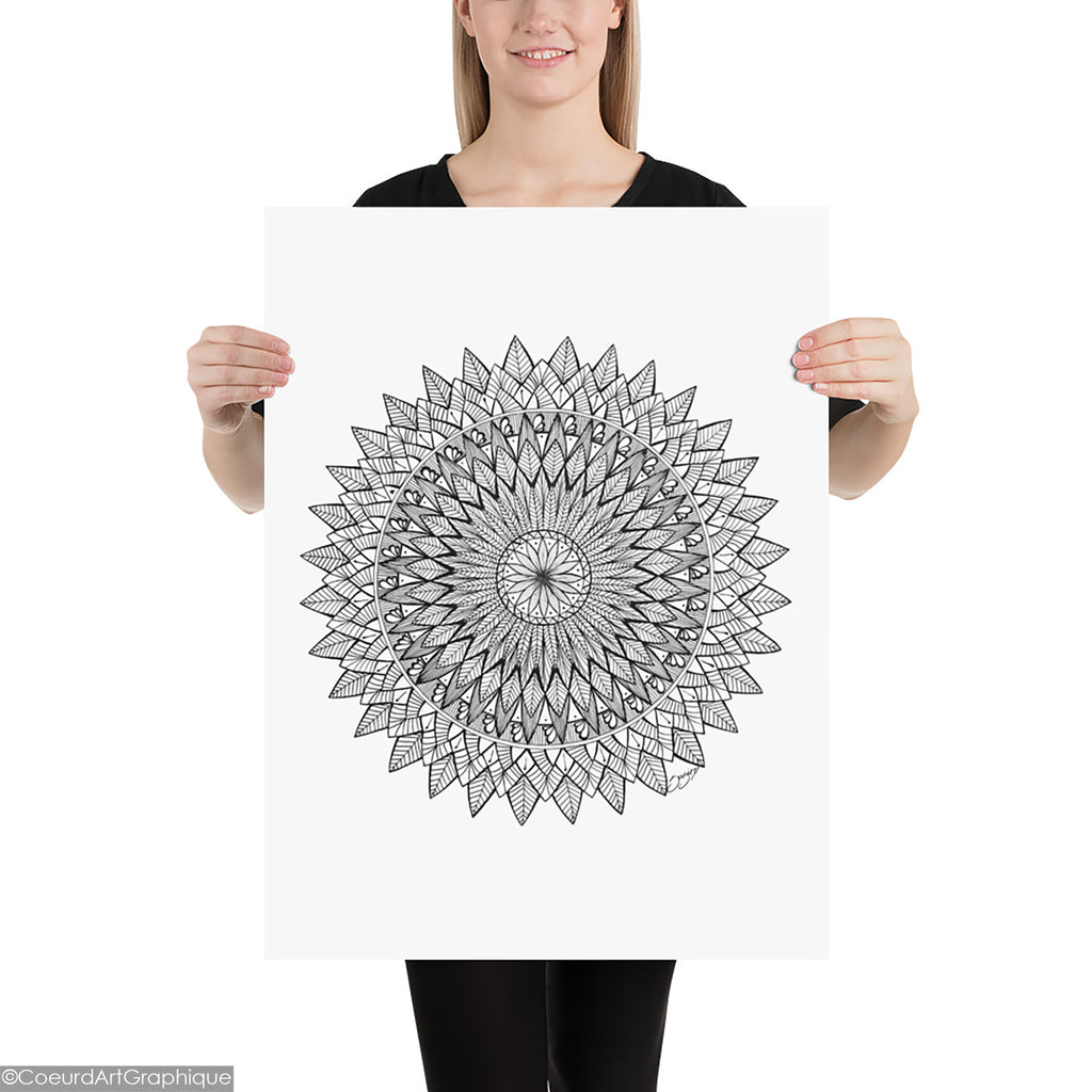Affiche • Plumes Noires